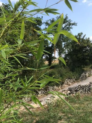 Bed and Breakfast Ratatouille Mayrinhac-Lentour Esterno foto